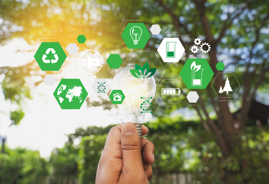 Sustainability
